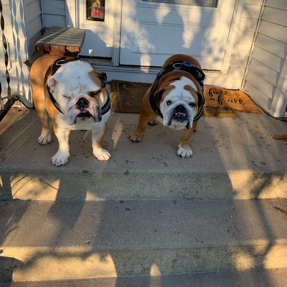 Meet your Posher, Jenn - Picture 5 of 8